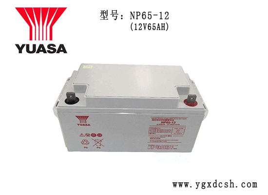 湯淺蓄電池NP65-12