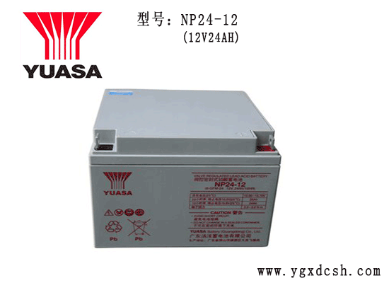 湯淺蓄電池NP24-12